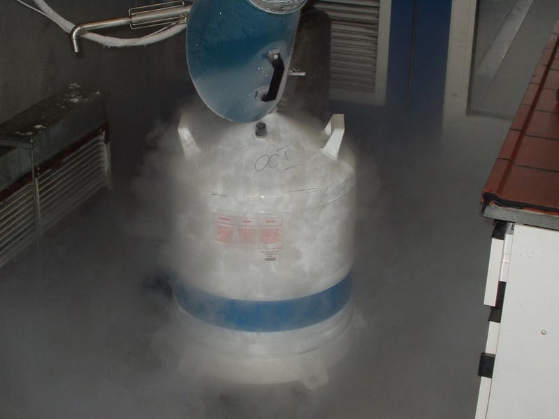 Liquid Nitrogen Fusion