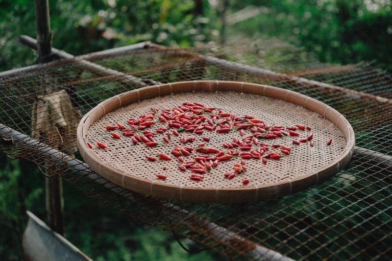 Spicy Peppers